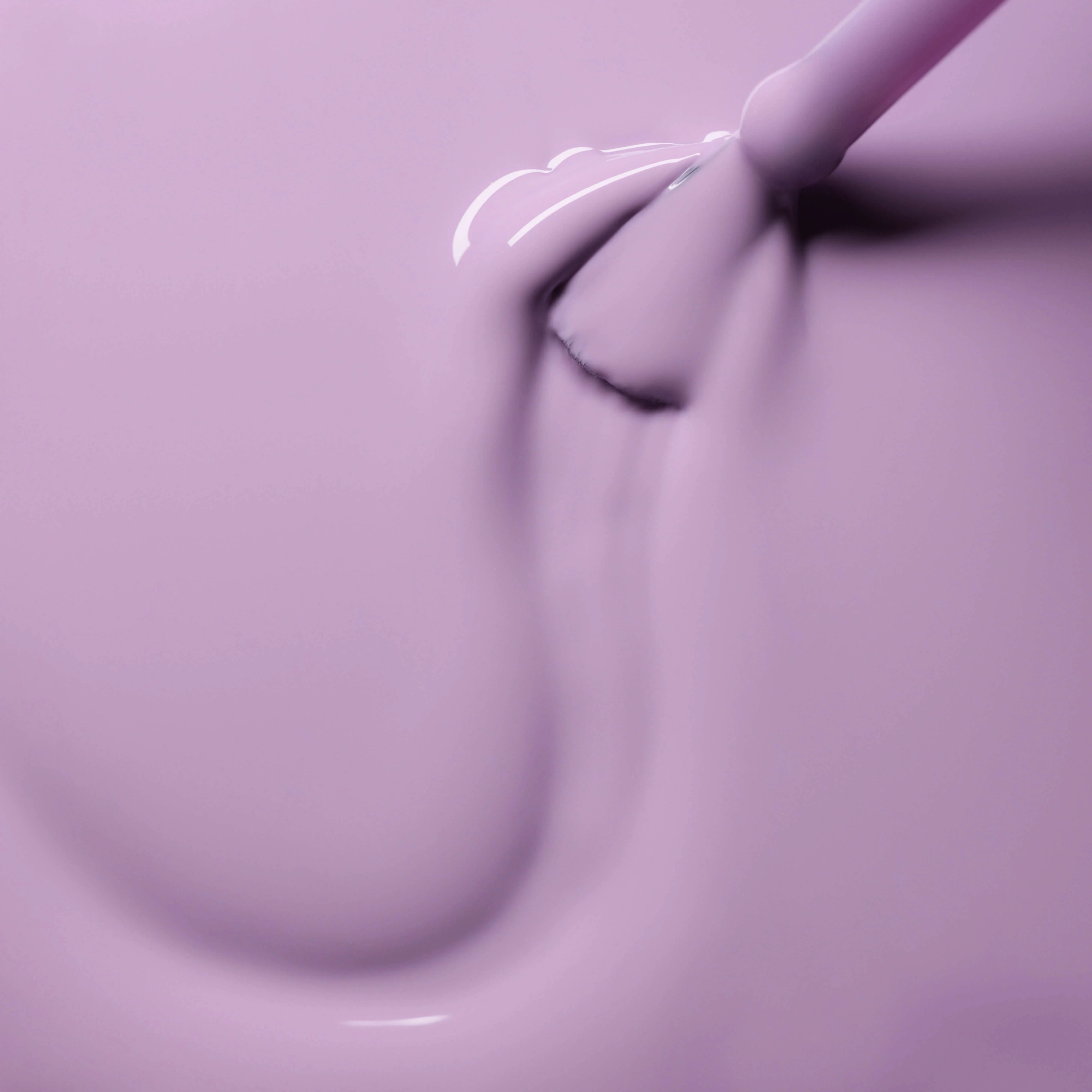 Miniature 5
